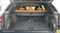 BMW X5 xDrive45e M-Sport,AHK,DAProf,PA+,4xSH,M-Sitze Blau - thumbnail 10