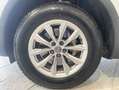 Audi Q5 35 2.0 tdi Business Design quattro 163cv s-tronic Biały - thumbnail 9