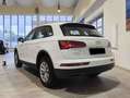 Audi Q5 35 2.0 tdi Business Design quattro 163cv s-tronic Biały - thumbnail 6