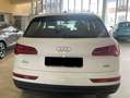 Audi Q5 35 2.0 tdi Business Design quattro 163cv s-tronic Biały - thumbnail 5