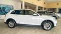Audi Q5 35 2.0 tdi Business Design quattro 163cv s-tronic Biały - thumbnail 4