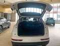 Audi Q5 35 2.0 tdi Business Design quattro 163cv s-tronic Weiß - thumbnail 8
