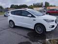 Ford Kuga 1.5 TDCi 120 S&S 4x2 BVM6 ST-Line - thumbnail 5
