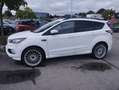 Ford Kuga 1.5 TDCi 120 S&S 4x2 BVM6 ST-Line - thumbnail 3