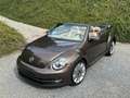 Volkswagen Beetle Cabriolet 2.0 TDi DSG /Très bon état! Bruin - thumbnail 4