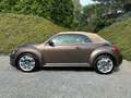 Volkswagen Beetle Cabriolet 2.0 TDi DSG /Très bon état! Bruin - thumbnail 6
