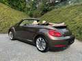 Volkswagen Beetle Cabriolet 2.0 TDi DSG /Très bon état! Bruin - thumbnail 3