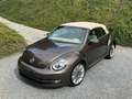 Volkswagen Beetle Cabriolet 2.0 TDi DSG /Très bon état! Bruin - thumbnail 7