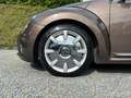 Volkswagen Beetle Cabriolet 2.0 TDi DSG /Très bon état! Bruin - thumbnail 8