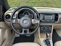 Volkswagen Beetle Cabriolet 2.0 TDi DSG /Très bon état! Bruin - thumbnail 12