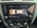 Skoda Octavia 1.6 TDI Ambition Business + Ecc + Lmv + Navi + par Schwarz - thumbnail 15