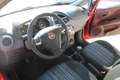 Fiat Punto Evo Punto Tüv neu,sportl.,gepfl.,gute Ausst.,Finanz Rojo - thumbnail 12