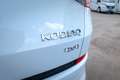 Skoda Kodiaq Sportline 4x4 Bianco - thumbnail 9