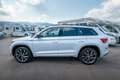 Skoda Kodiaq Sportline 4x4 Bianco - thumbnail 4