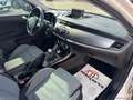 Alfa Romeo Giulietta GIULIETTA DISTINCTIVE 1.4 170CV GPL Wit - thumbnail 12