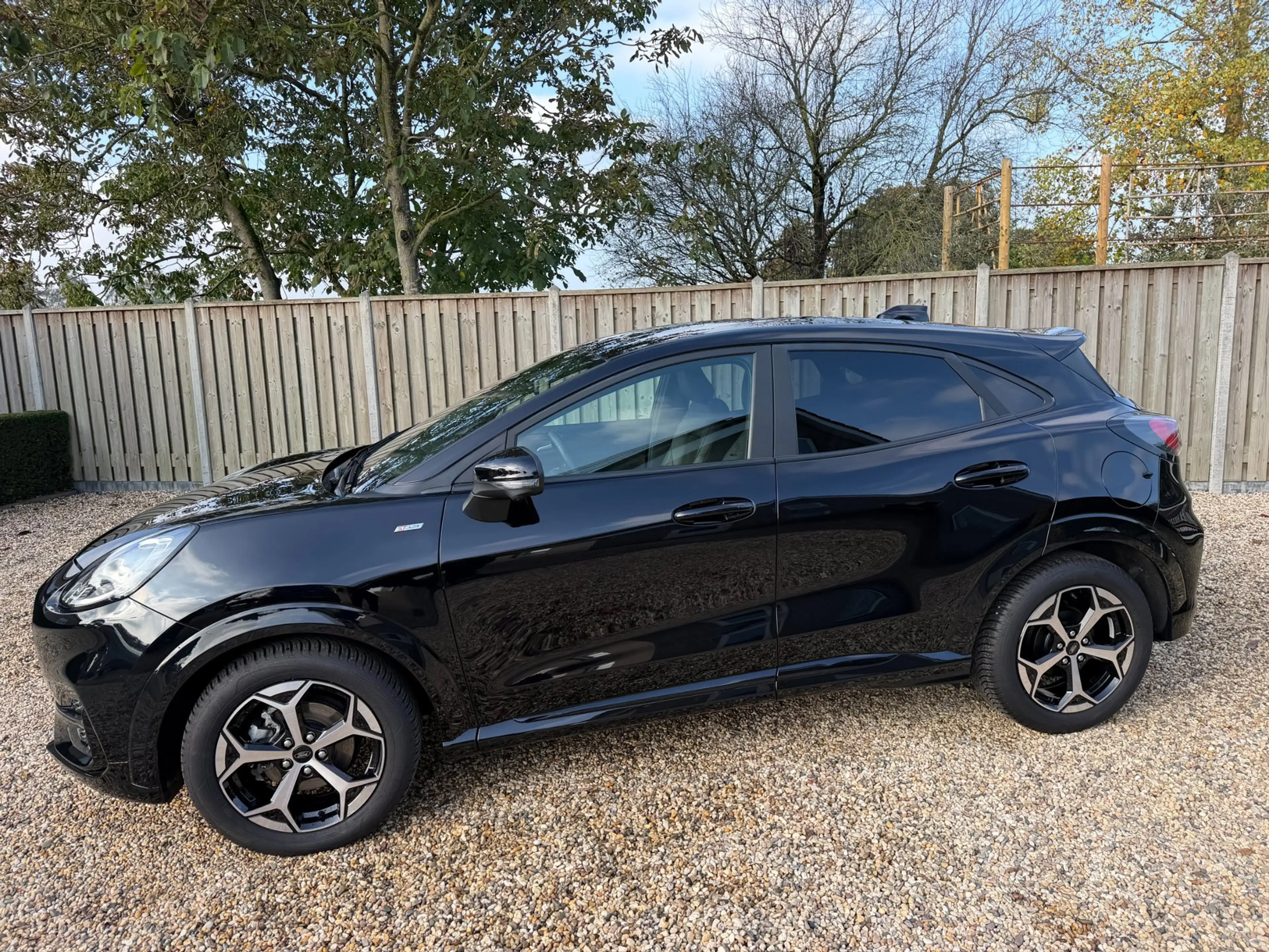 Ford Puma 1.0 EcoBoost Hybrid ST-Line X 155PK Automaat Navig — photo 48