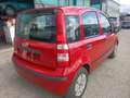 Fiat Panda Panda 1.1 Active Eco Rosso - thumbnail 5