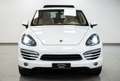 Porsche Cayenne 3.0 TDI 245CV V6 TIPTRONIC CHRONO TETTOAPR KM CERT bijela - thumbnail 3