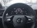 Skoda Kamiq 1.0 TSI DSG Selection LED ACC APP Kamera Grau - thumbnail 10