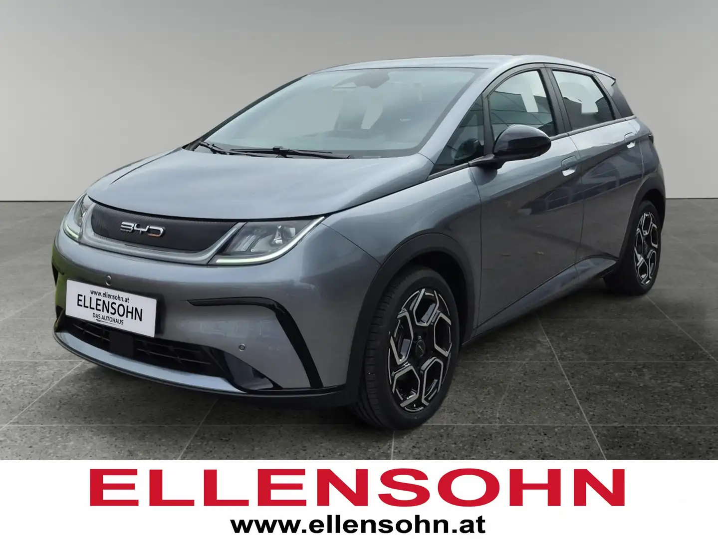 BYD Dolphin Comfort Grau - 1