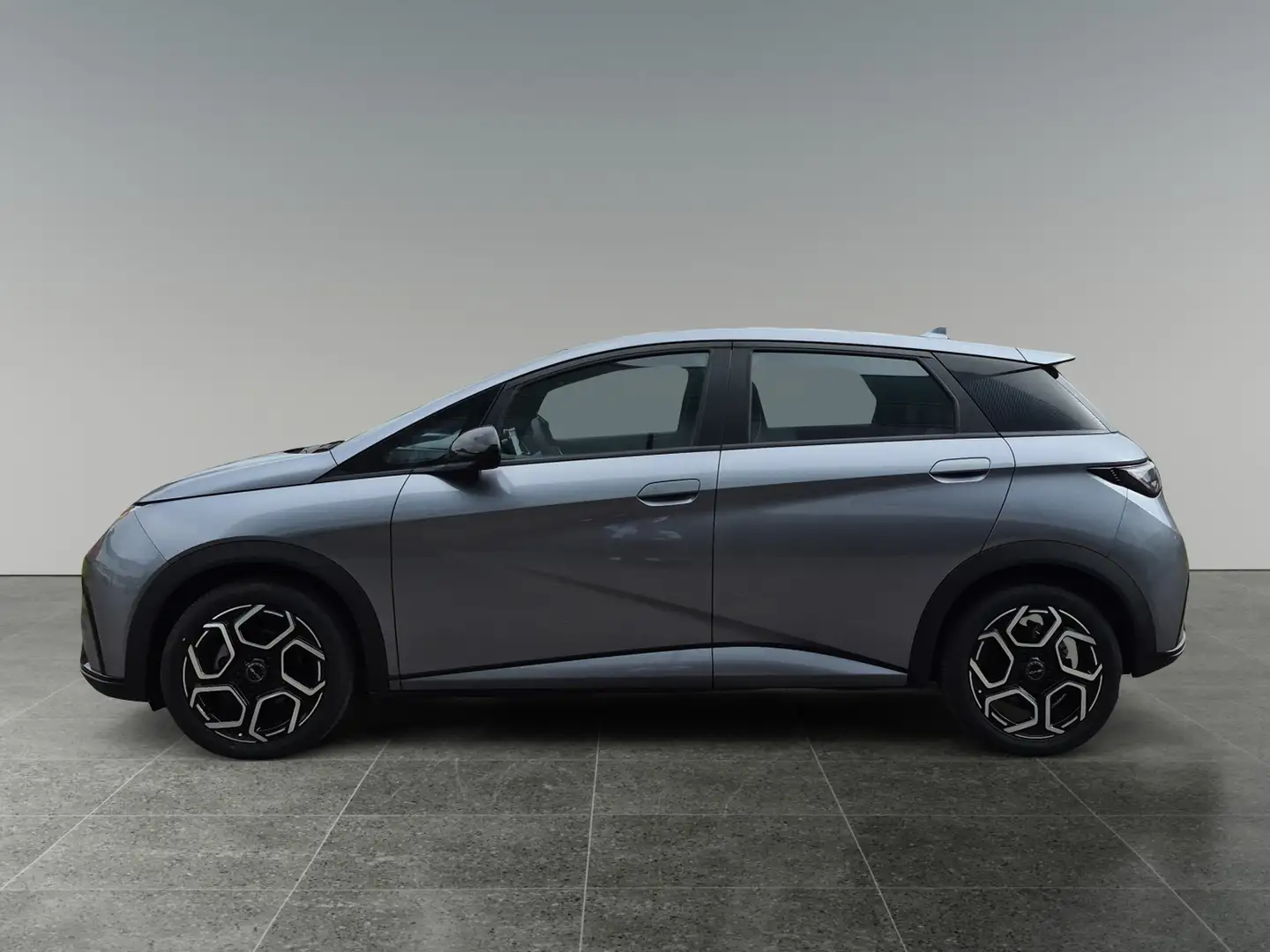 BYD Dolphin Comfort Grau - 2