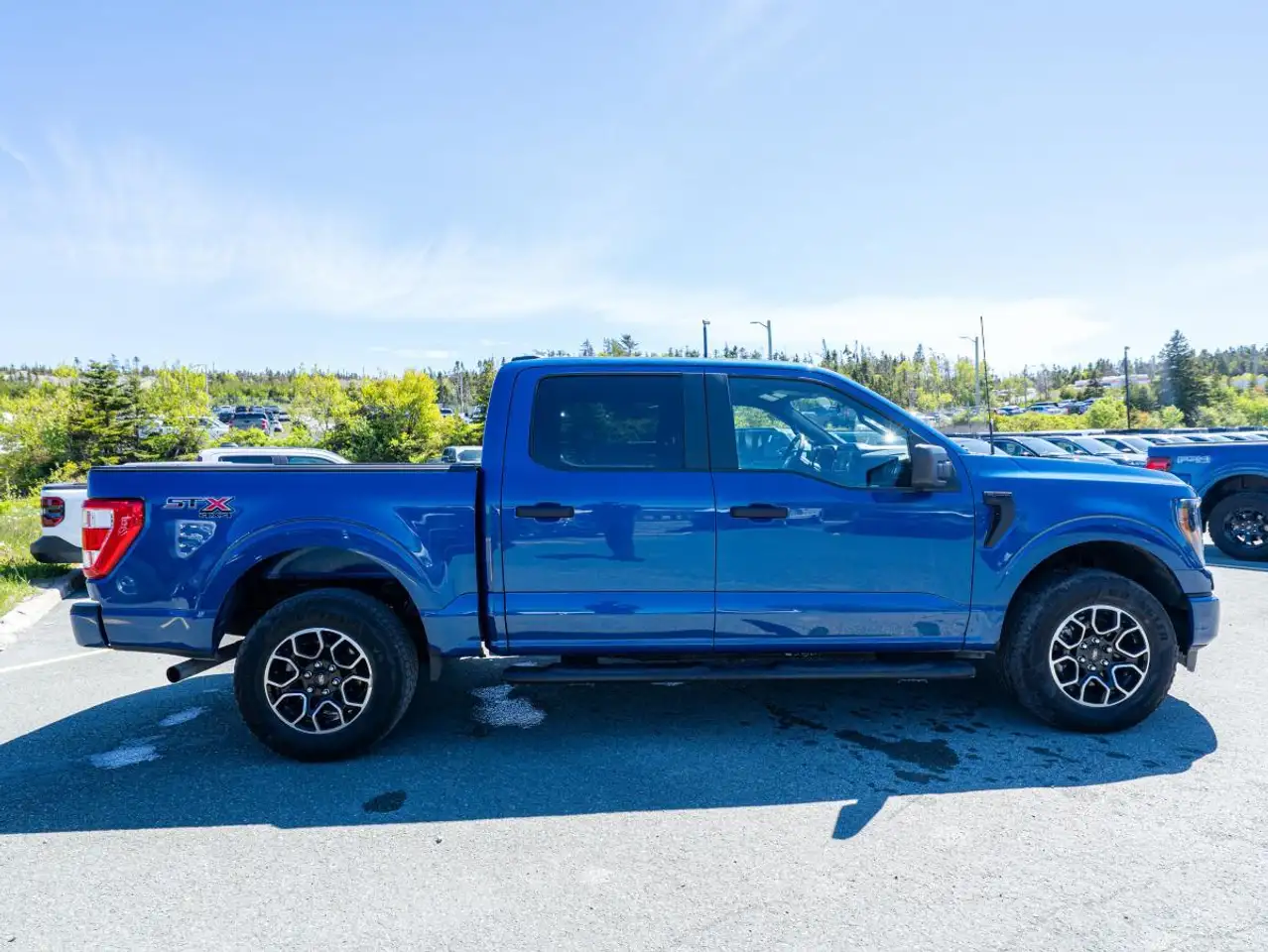 Ford F 150 photo Ford F 150