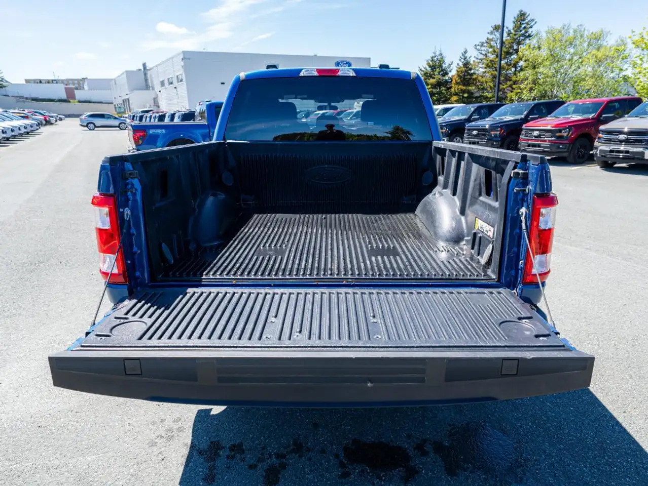 Ford F 150 photo Ford F 150