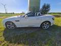 Mercedes-Benz SLK 250 AMG Line Blanco - thumbnail 8