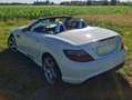 Mercedes-Benz SLK 250 AMG Line Blanco - thumbnail 2