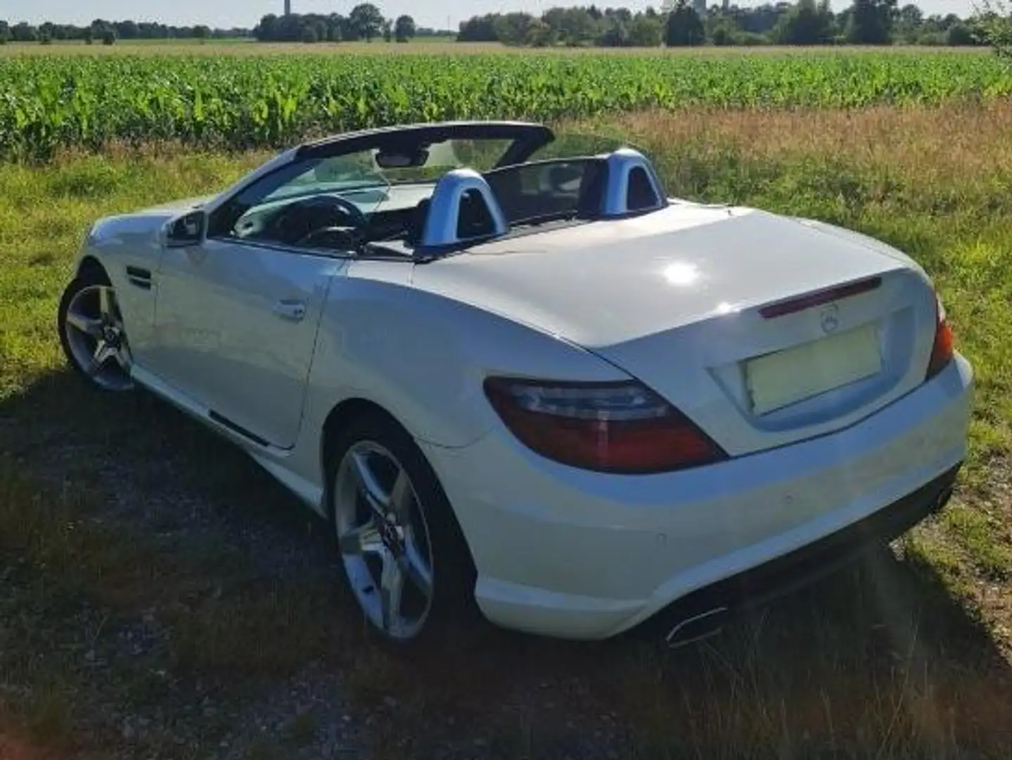 Mercedes-Benz SLK 250 AMG Line Blanco - 2