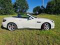 Mercedes-Benz SLK 250 AMG Line Blanco - thumbnail 6