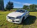 Mercedes-Benz SLK 250 AMG Line Blanco - thumbnail 4