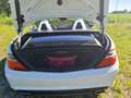 Mercedes-Benz SLK 250 AMG Line Blanco - thumbnail 11