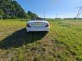 Mercedes-Benz SLK 250 AMG Line Blanco - thumbnail 9