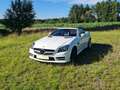 Mercedes-Benz SLK 250 AMG Line Blanco - thumbnail 3
