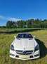 Mercedes-Benz SLK 250 AMG Line Blanco - thumbnail 18