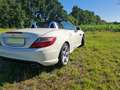 Mercedes-Benz SLK 250 AMG Line Blanco - thumbnail 10