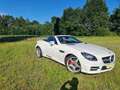 Mercedes-Benz SLK 250 AMG Line Blanco - thumbnail 5