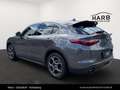 Alfa Romeo Stelvio Super Q4 2.0 Turbo Grau - thumbnail 5