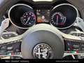 Alfa Romeo Stelvio Super Q4 2.0 Turbo Grau - thumbnail 20