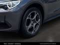 Alfa Romeo Stelvio Super Q4 2.0 Turbo Grau - thumbnail 11