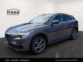 Alfa Romeo Stelvio Super Q4 2.0 Turbo Grau - thumbnail 2