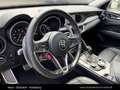 Alfa Romeo Stelvio Super Q4 2.0 Turbo Grau - thumbnail 18