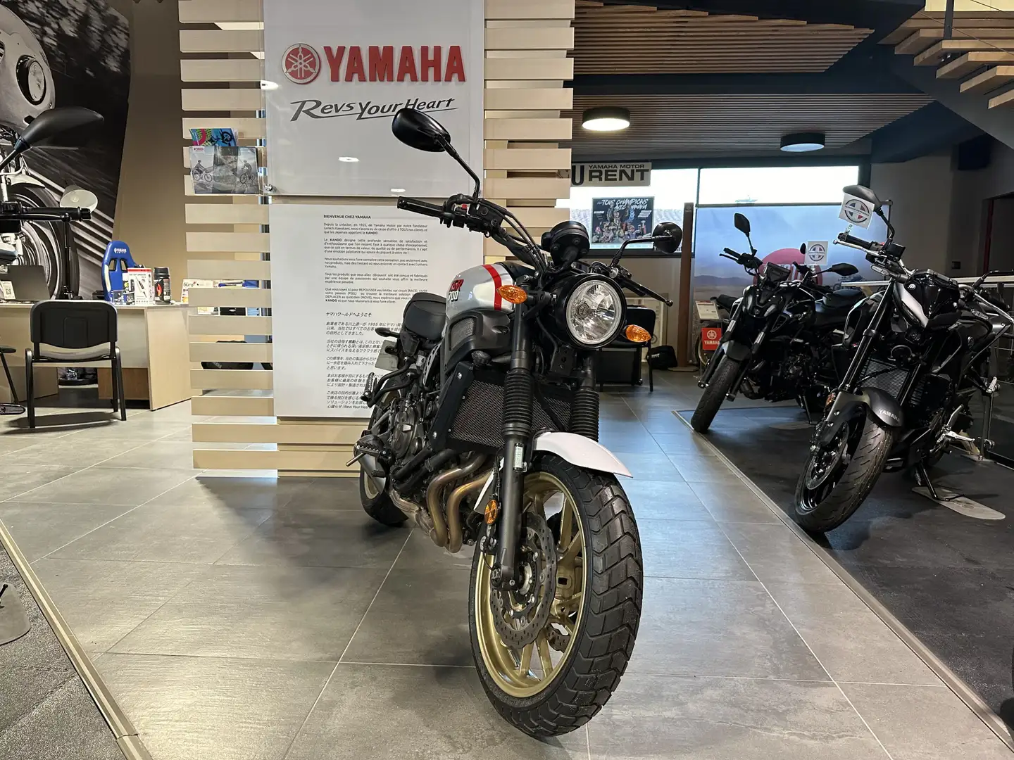 Yamaha XSR 700 Gris - 2