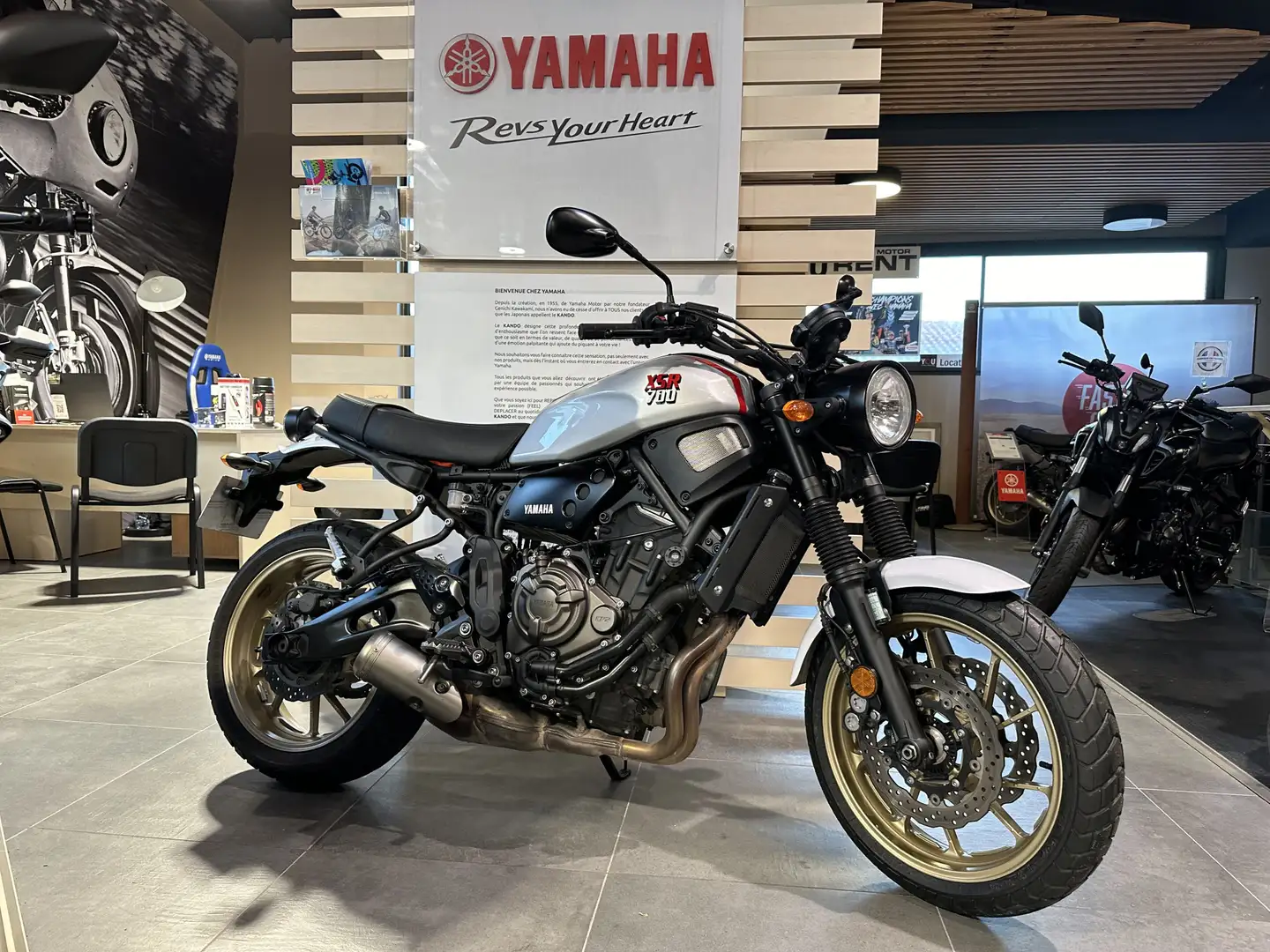 Yamaha XSR 700 Gris - 1