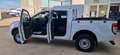 Ford Ranger 2.0 Ecoblue S&S DCb. XL 4x4 170 Blanco - thumbnail 6