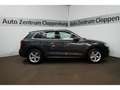 Audi Q5 50 TDI LED+Pano+Alcantara+Navi+AHK+Cam+20'' Grau - thumbnail 6