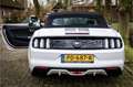 Ford Mustang Convertible 2.3 EcoBoost Stoelventilatie Shaker Au Wit - thumbnail 26