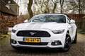 Ford Mustang Convertible 2.3 EcoBoost Stoelventilatie Shaker Au Wit - thumbnail 25