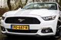 Ford Mustang Convertible 2.3 EcoBoost Stoelventilatie Shaker Au White - thumbnail 2